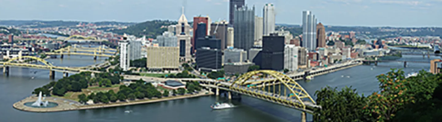 Resilient Cities
