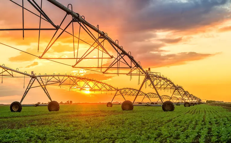 Farming and agriculture