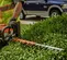 Orange Stihl hedge trimmer with 30 inch blade being used to cut hedges