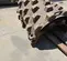 2019 Hamm 2324462 Drum Roller
