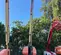 2017 JLG 600S Boom Lift