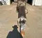 2019 Epiroc EC 150T Attachment