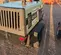 2018 Sullair 185DPQ-KU-T3 Air Compressor