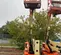 2013 JLG E450AJ Articulating Boom Lift