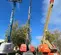 2017 Skyjack SJ66T Boom Lift