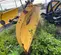 2016 FISHER 9' HD2 Trailer