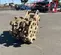 2019 FURUKAWA CW36III Compaction Attachment