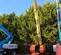 2012 JLG 600S Boom Lift