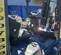 2019 Toyota 8FGU25 Warehouse Forklift