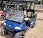 2022 EVOLUTION CLASSIC 4 PRO Utility Vehicle