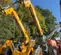 2018 JCB 512-56 S Forklift