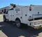 2019 Ford F550REGXLG4WD