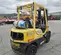 2017 HYSTER H50XT Warehouse Forklift