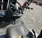 2018 Toyota 8FGU30 Warehouse Forklift