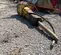 2017 Atlas Copco ES 80 Attachment