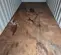 inside floor