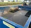 2019 Towmaster T-9HD 12' Dump Trailer