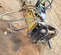 2019 Epiroc MB 1650 Attachment