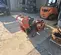 2018 Ditch Witch C14 Trencher