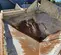 2021 GAR-BRO 4958