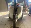 2020 Magnum Pro MLT6SM Portable Light Tower