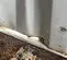 inside damage
