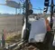 2019 Magnum Pro MLT6SM Portable Light Tower