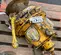2011 Ingersoll Rand EU