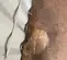 Damage