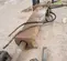 2019 Epiroc EC 140T Attachment