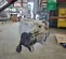2018 BISOMAC BISO308-1000L Hoist