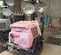 2017 Magnum Pro MLT6SM Portable Light Tower