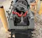 2017 RIDGID 535 Pipe Threading