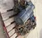 2012 JD NEUHAUS PROFI 10T Hoist