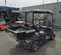 2021 ICON I20 CARGO Utility Vehicle