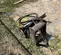 2016 Atlas Copco SB 452 Attachment
