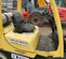 2017 HYSTER H50FT Warehouse Forklift