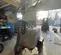 2019 Wacker Neuson LTV6L Portable Light Tower