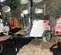 2017 Magnum Pro MLT6SM Portable Light Tower