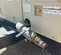 2019 Doosan XHP1170WCU-T4F Air Compressor