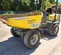 2021 Wacker Neuson 3001