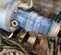 2017 Mody Pumps 575V Pump