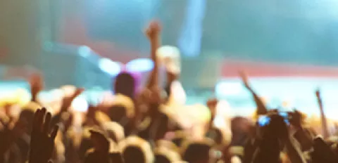 concert goers at festival