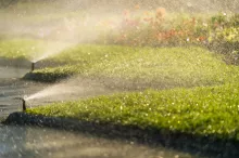 Grass with lawn watering sprinkler 
