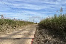Timberlite ground protection mat temporary road
