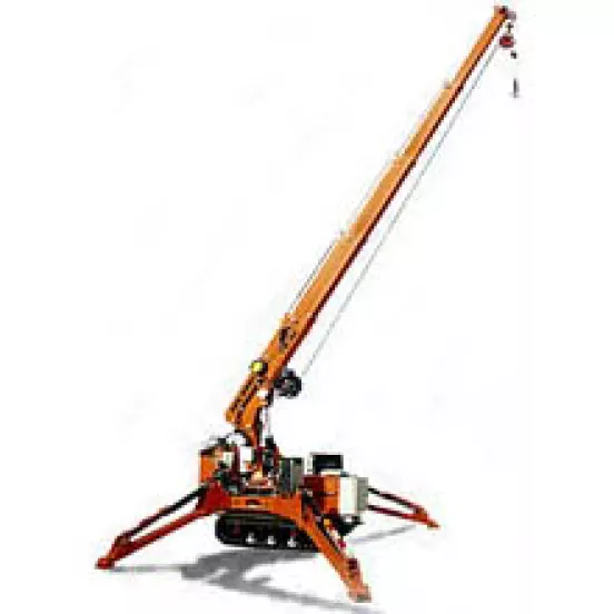 Mini Crawler Crane