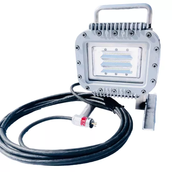 Silver Worksite Portable Work Light, 70W, Explosion Proof