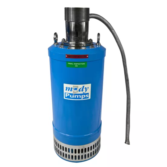 Blue Mody Electric Submersible Pump