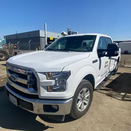 2017 Ford F150CREWXLTG2WD Truck