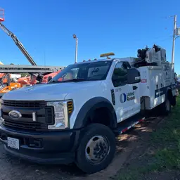 2019 Ford F550REGXLG4WD